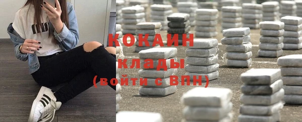 дживик Абаза